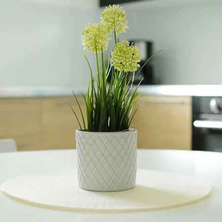 Fresh - Parking Included Apartmán *